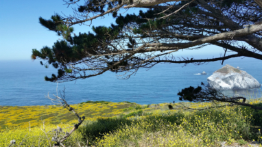 Big Sur view near Gorda