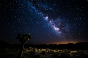 Star light, star bright