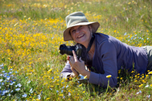 Shooting wildflower pictures