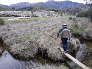 Stream crossing on the trail