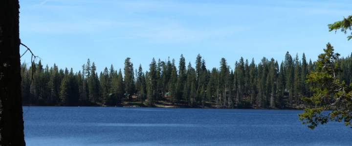 Dispersed camping by Huntington Lake Dispersed camping by Huntington Lake